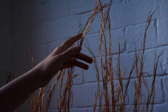 Donation Drive Flyer