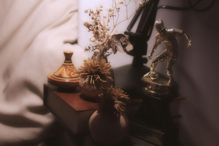 Details of the Installation. (3)