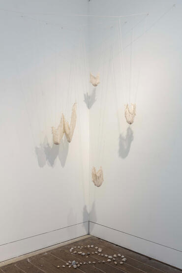 Details of the Installation. (1)