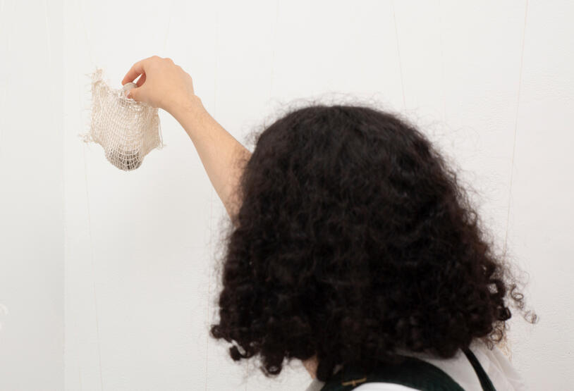 Details of the Installation. (3)