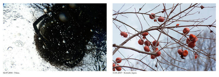 Donation Drive Flyer